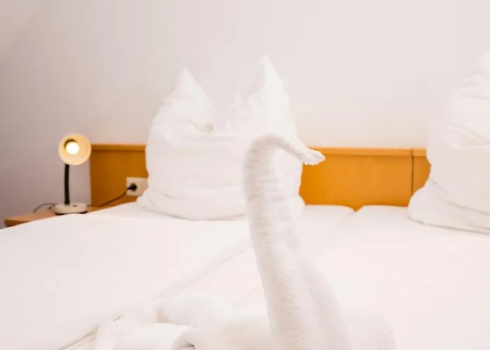 深兹穗纳餐厅酒店 3*