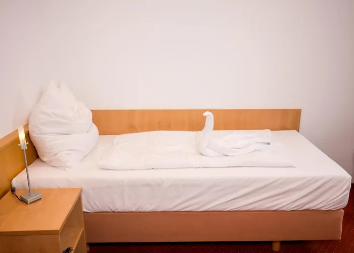 深兹穗纳餐厅酒店 3* 辛斯海姆