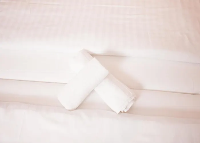 酒店 深兹穗纳餐厅酒店 3*