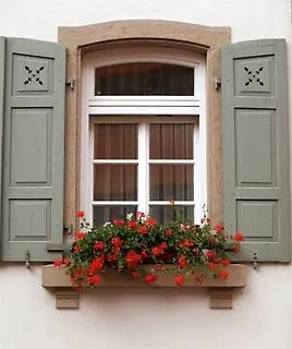 深兹穗纳餐厅酒店 3*